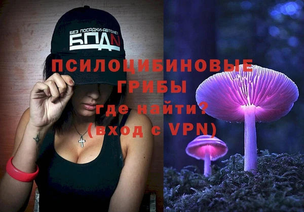 apvp Богданович
