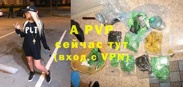 apvp Богданович
