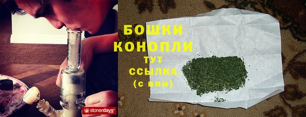 индика Осташков