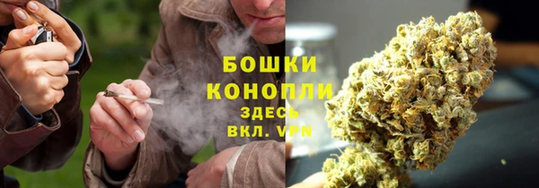 apvp Богданович