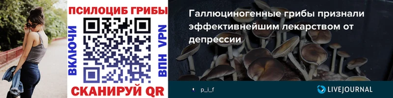 хочу   KRAKEN онион  Псилоцибиновые грибы мицелий  Ковылкино 